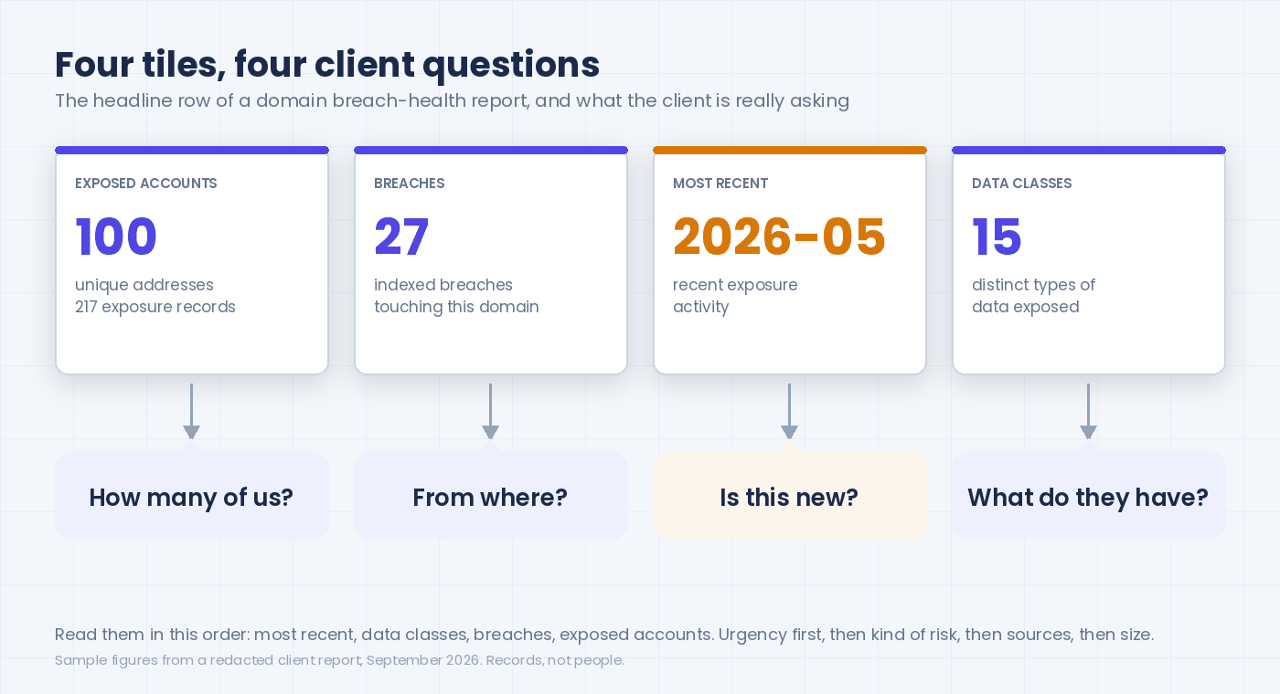 Four report tiles mapped to the four questions every client asks: how many of us, from where, is this new, what do they have