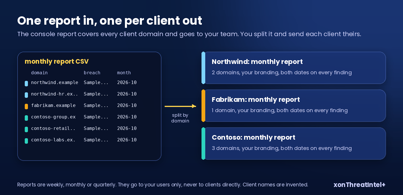 One account-wide report CSV with the client domain on every row, split through the client map into three branded per-client monthly reports
